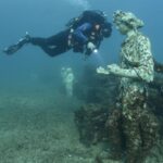 dive_in_the_past_pic2