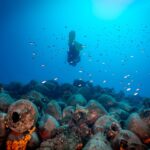 dive_in_the_past_pic7