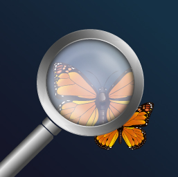 Magnifying Glass Pro