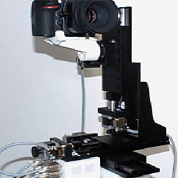 MOTION CONTROL SYSTEM